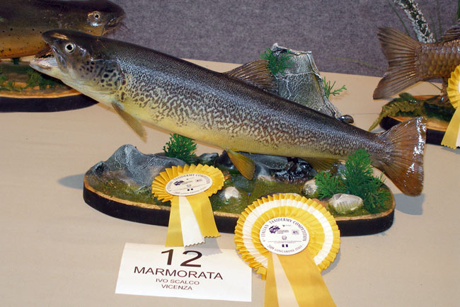 2009-marmorata